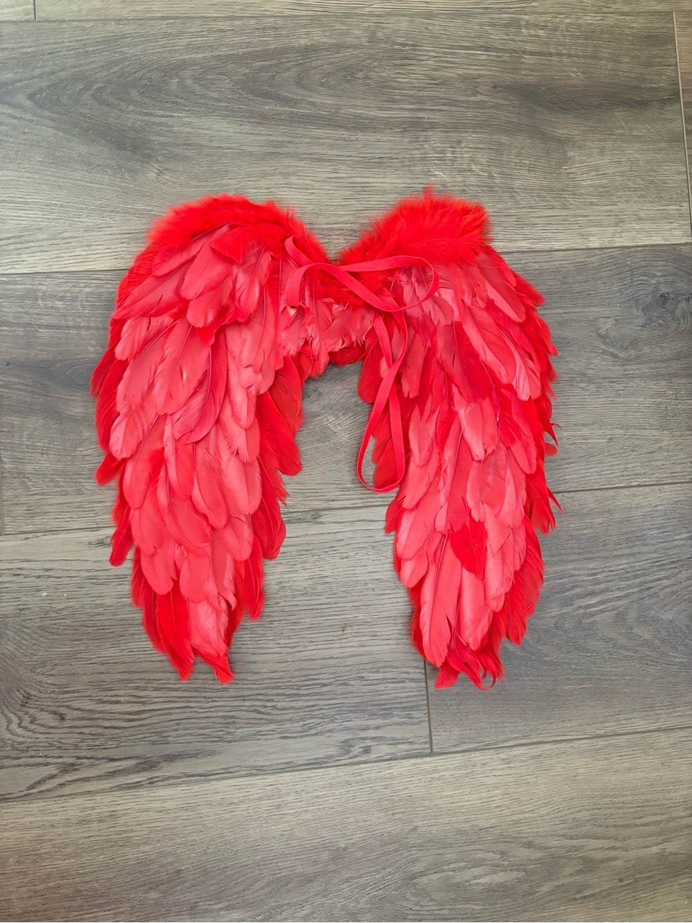 Halloween Costume Angel Devil Wings